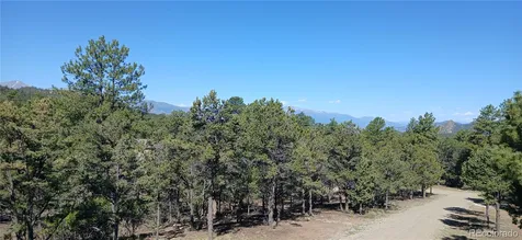 938 18th Trail Cotopaxi CO 81223