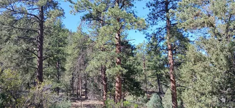 938 18th Trail Cotopaxi CO 81223