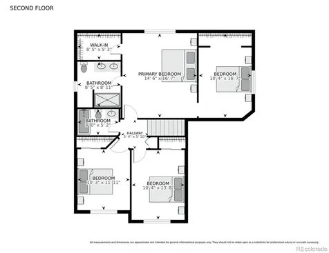 3575 Primrose Lane Castle Rock CO 80109