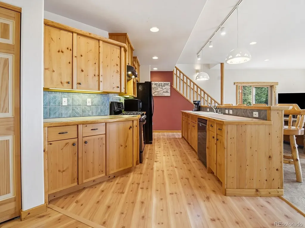 1407 Delwood Drive Bailey CO 80421