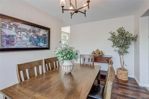226 Chelsea Street Castle Rock CO 80104