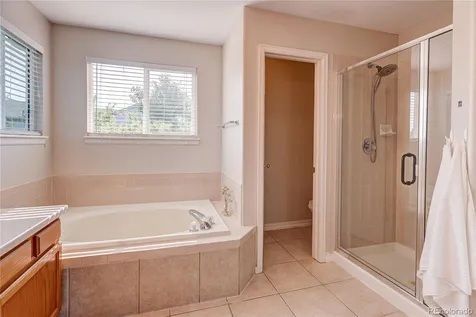 226 Chelsea Street Castle Rock CO 80104