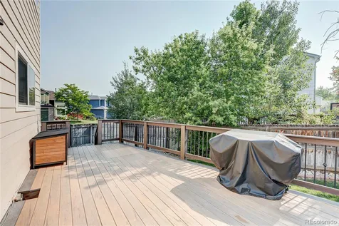 226 Chelsea Street Castle Rock CO 80104