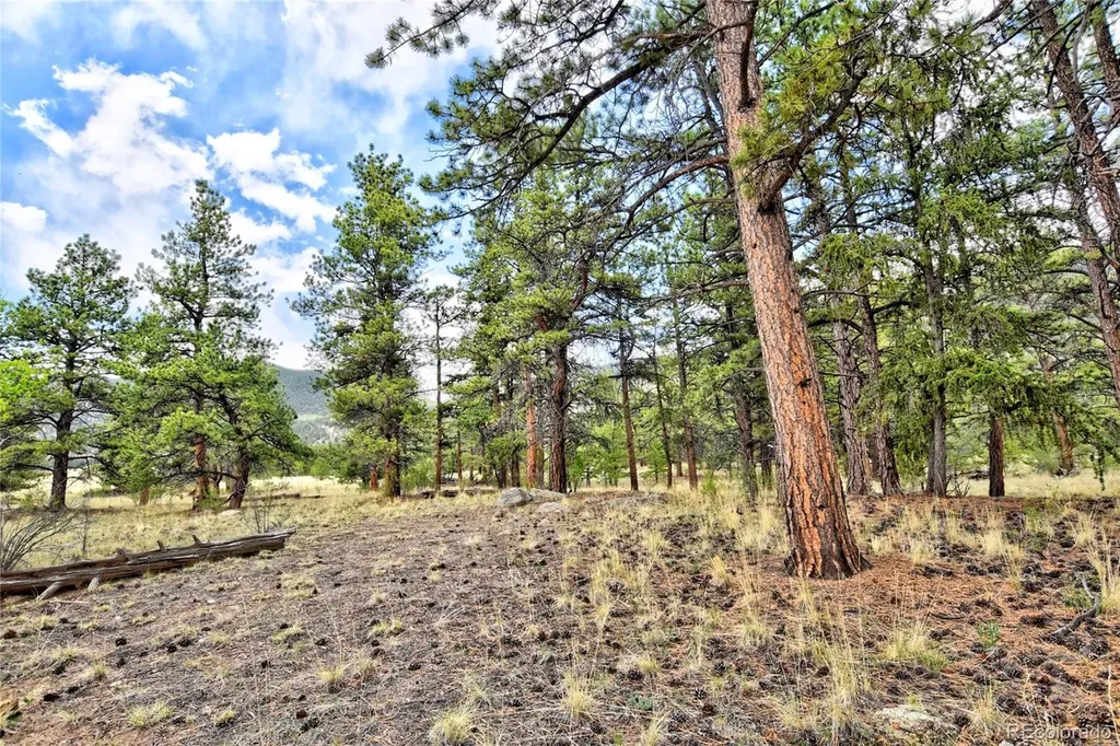 490 Teller Street Lake George CO 80827