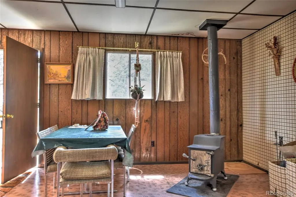 490 Teller Street Lake George CO 80827