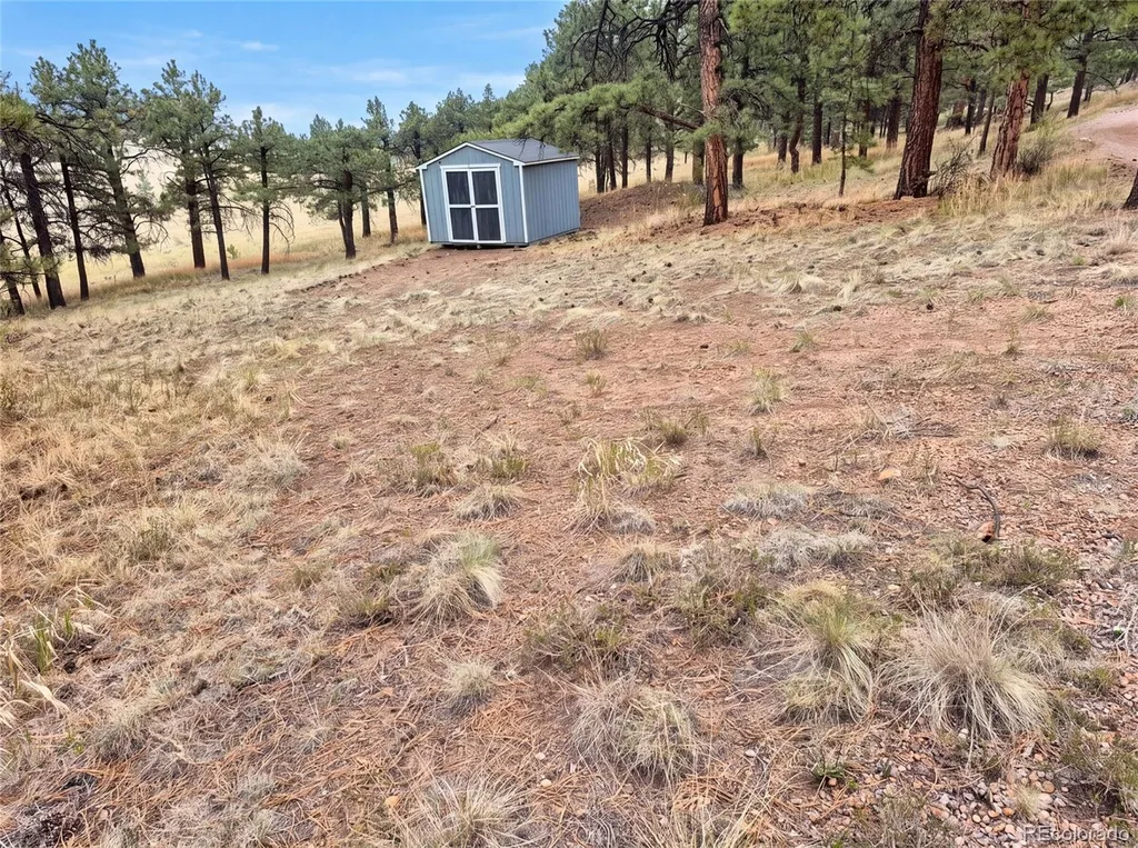 113 Blackberry Court Westcliffe CO 81252