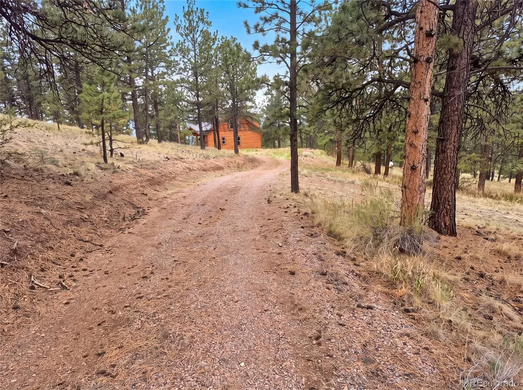 113 Blackberry Court Westcliffe CO 81252
