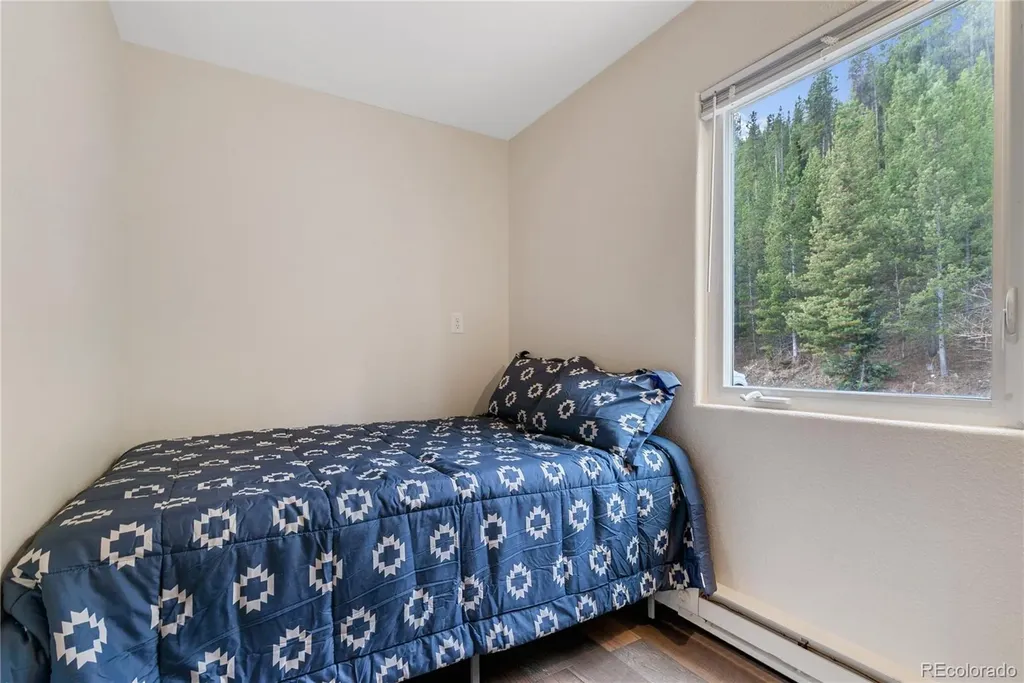 110 Now Colorado Court Breckenridge CO 80424