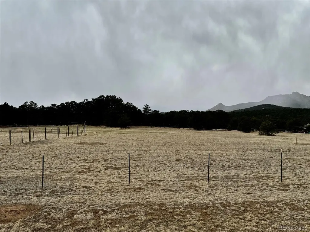 763 17th Trail Cotopaxi CO 81223