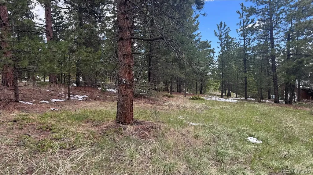 717 Crescent Lake Road Golden CO 80403
