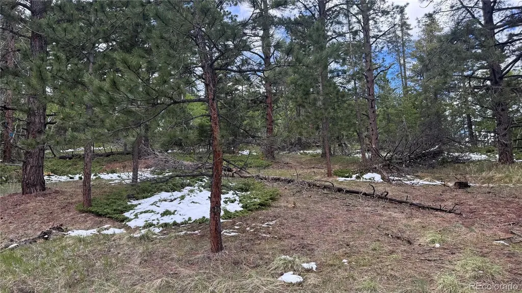 717 Crescent Lake Road Golden CO 80403