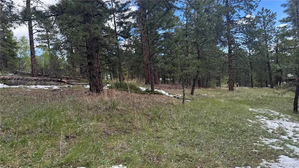 717 Crescent Lake Road Golden CO 80403
