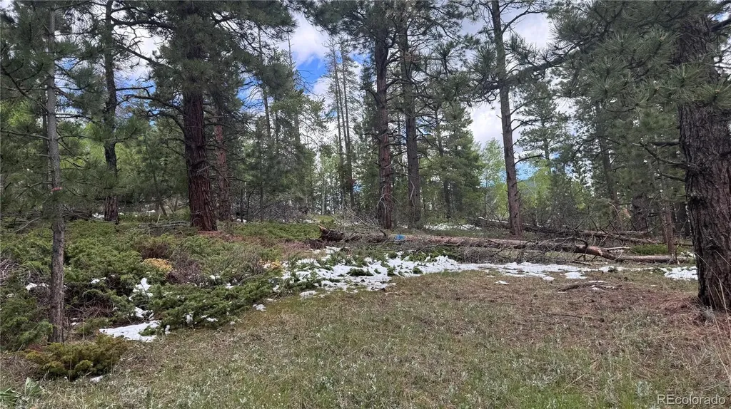 717 Crescent Lake Road Golden CO 80403