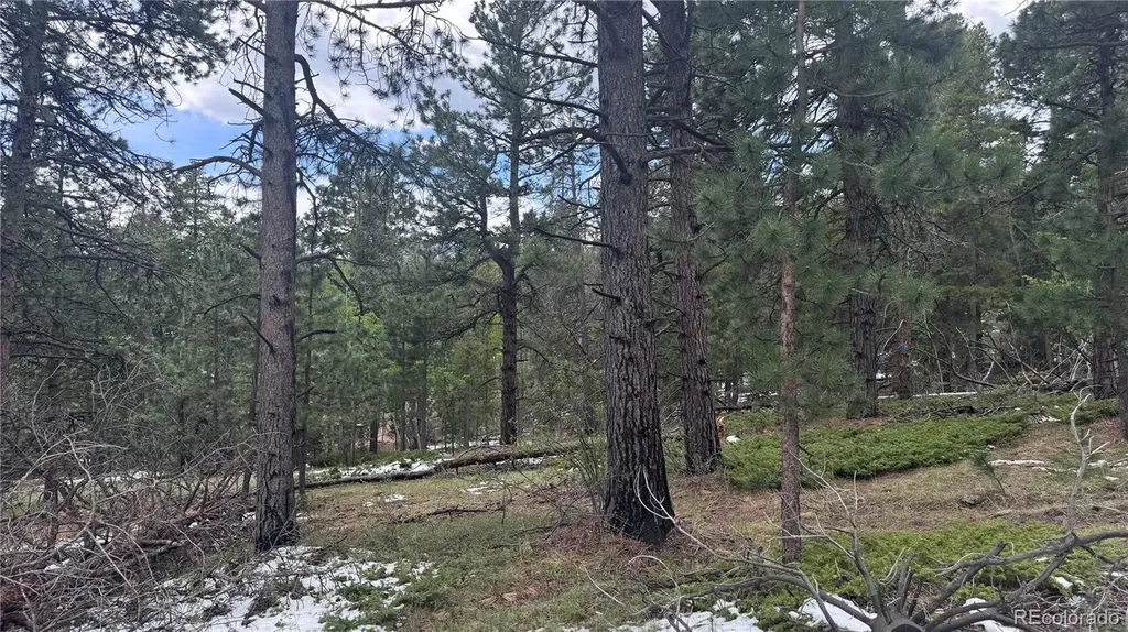 717 Crescent Lake Road Golden CO 80403