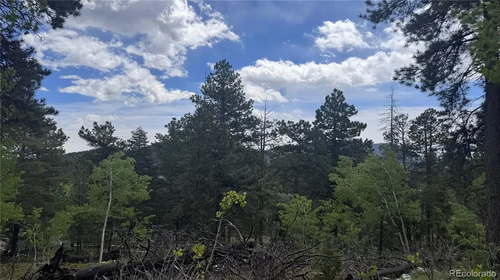 717 Crescent Lake Road Golden CO 80403