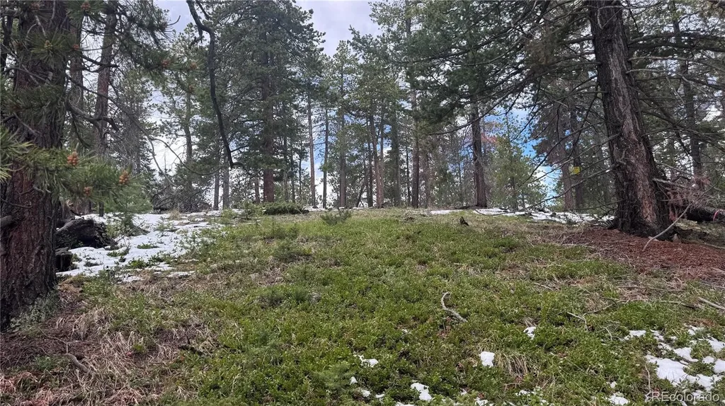717 Crescent Lake Road Golden CO 80403