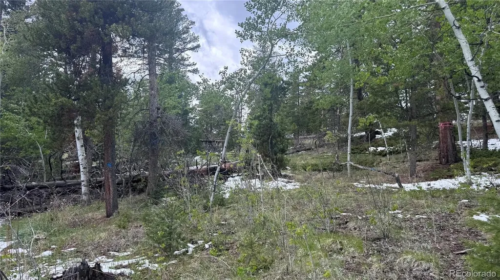 717 Crescent Lake Road Golden CO 80403