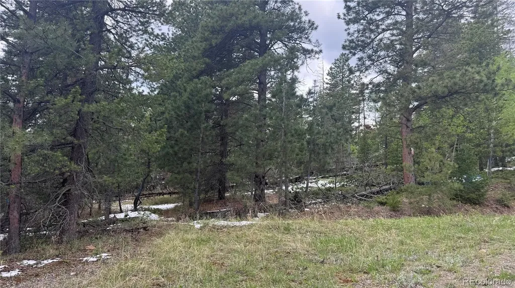 717 Crescent Lake Road Golden CO 80403