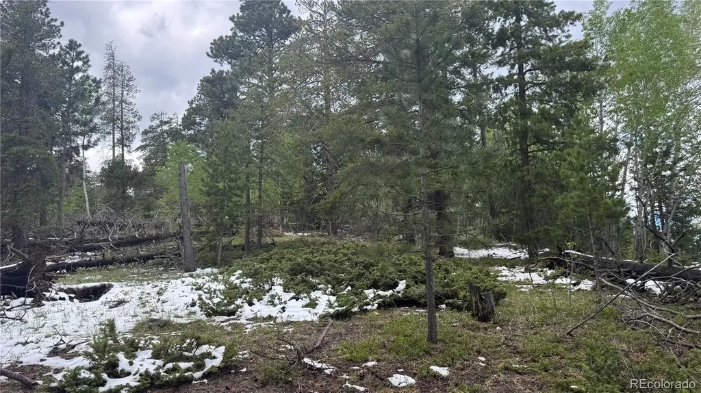 717 Crescent Lake Road Golden CO 80403