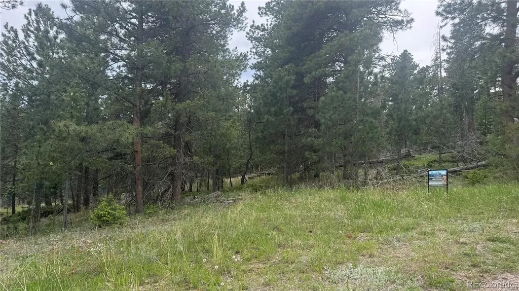 717 Crescent Lake Road Golden CO 80403