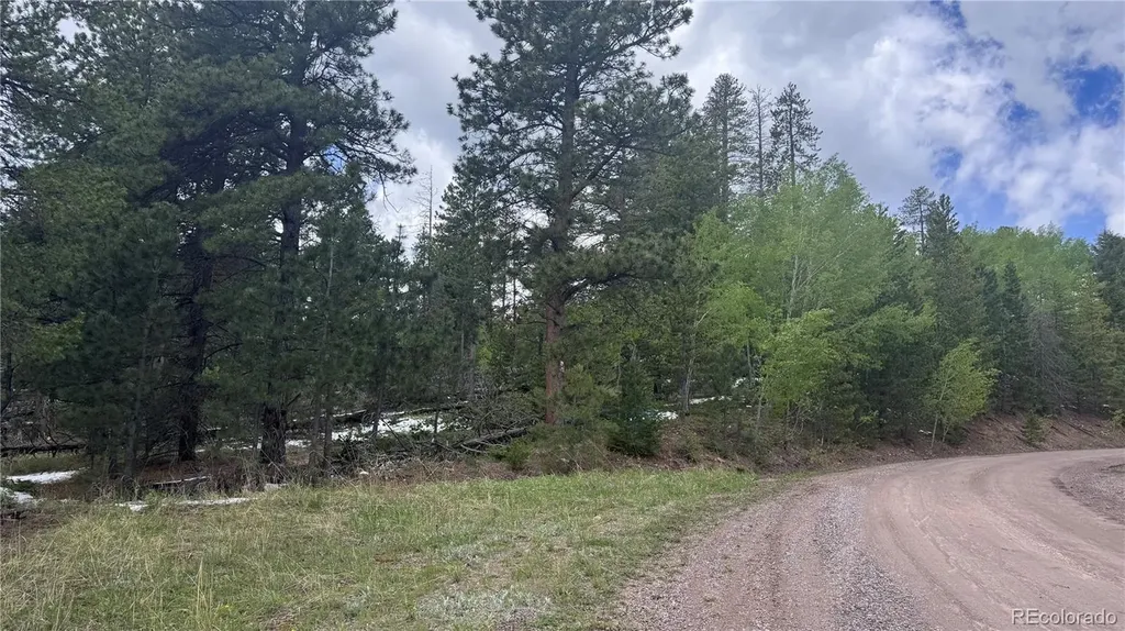 717 Crescent Lake Road Golden CO 80403
