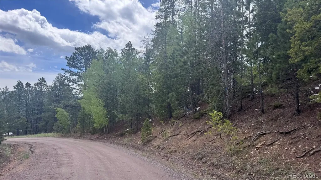 717 Crescent Lake Road Golden CO 80403