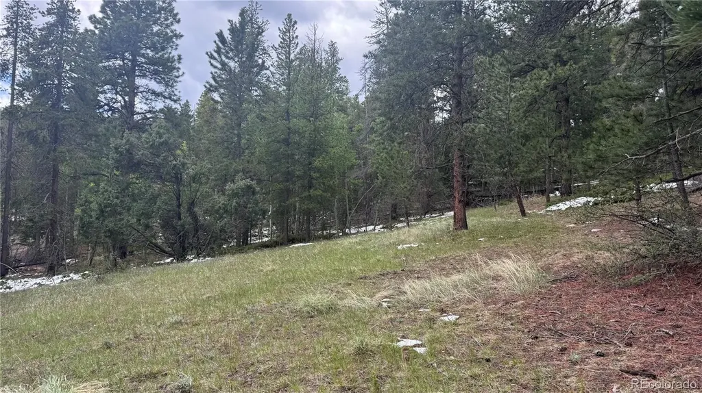 717 Crescent Lake Road Golden CO 80403