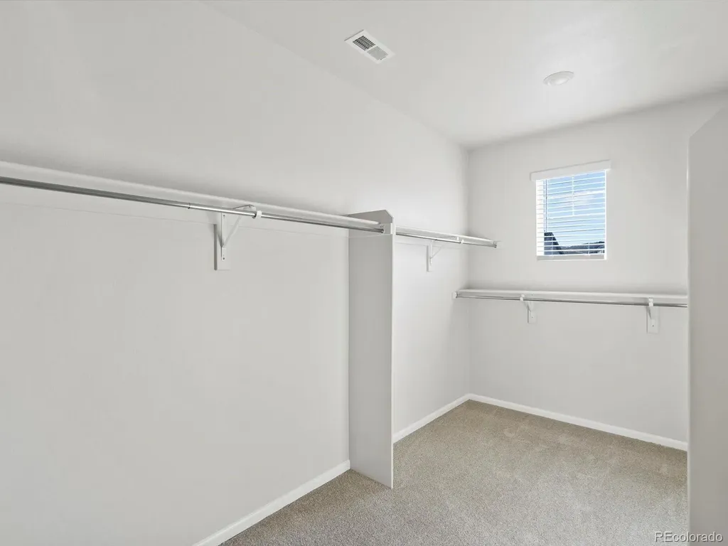 1622 Rumley Creek Drive Windsor CO 80550