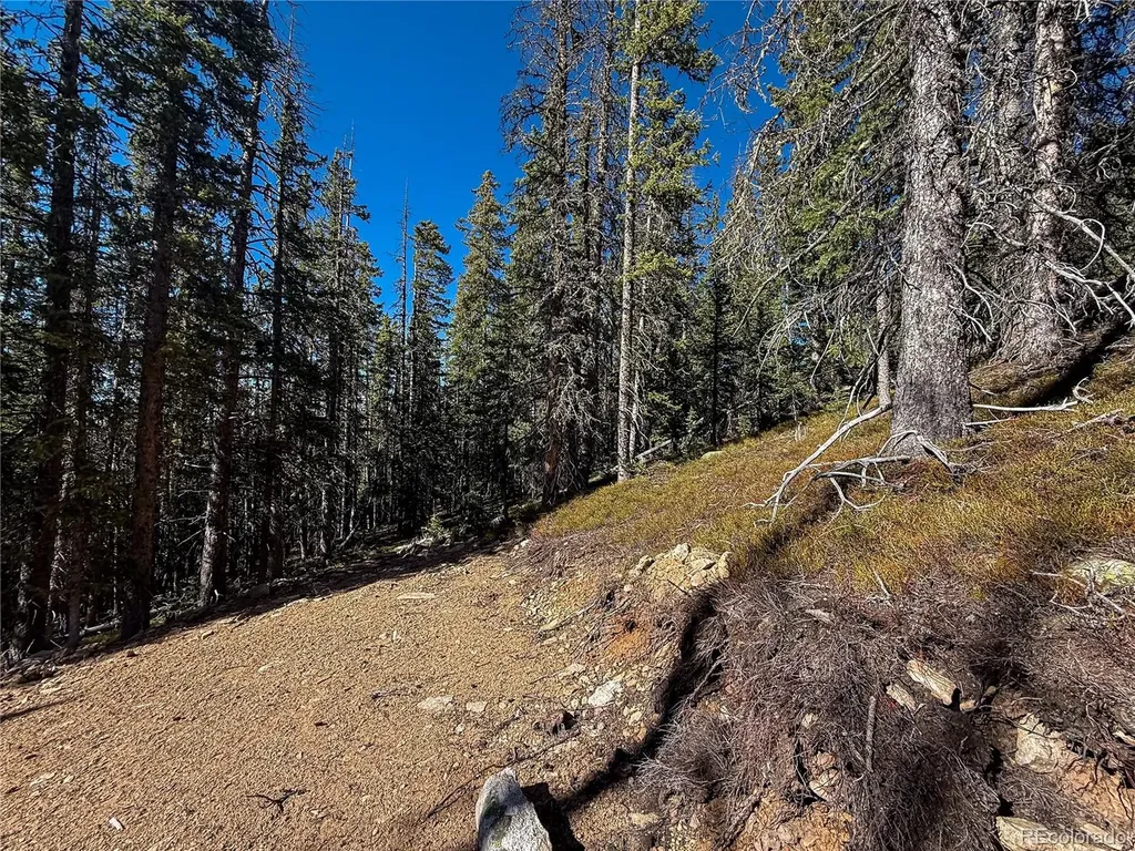 Lot 6530 Schluetter Road Fort Garland CO 81133