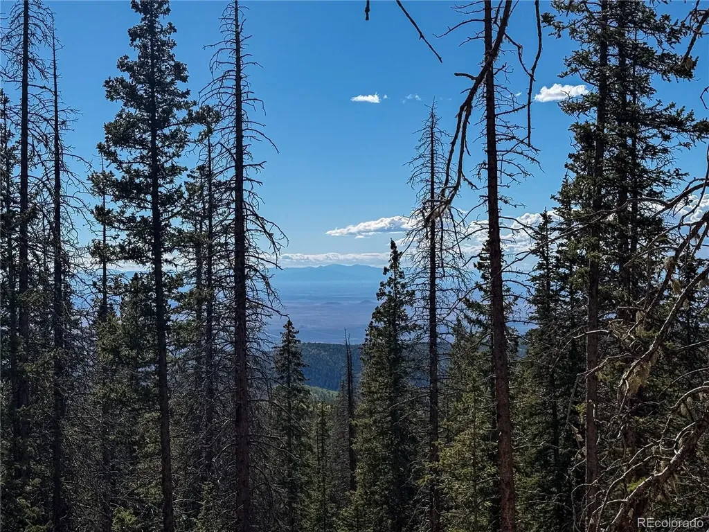 Lot 6530 Schluetter Road Fort Garland CO 81133