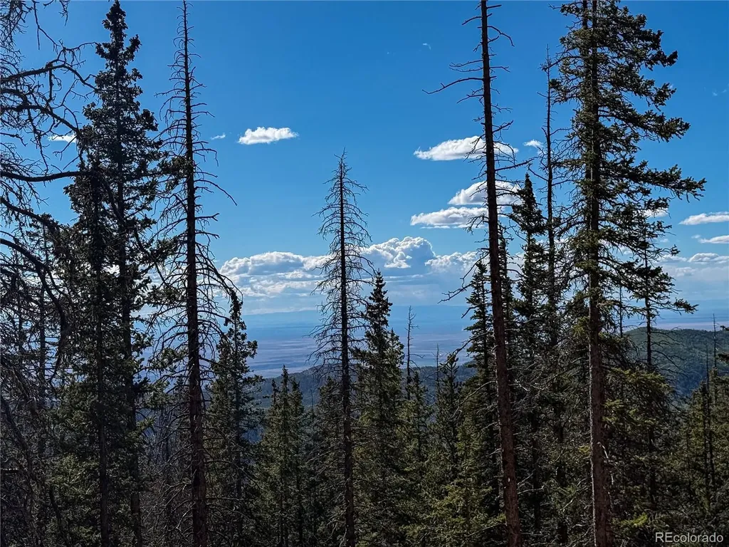 Lot 6530 Schluetter Road Fort Garland CO 81133