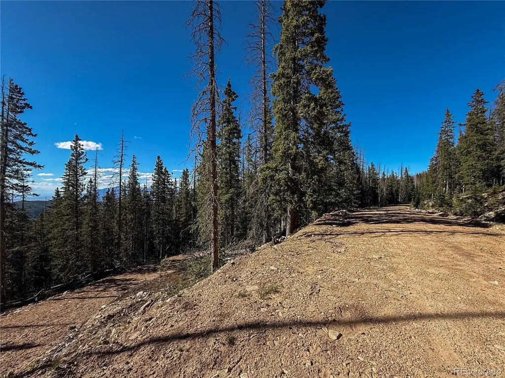 Lot 6530 Schluetter Road Fort Garland CO 81133