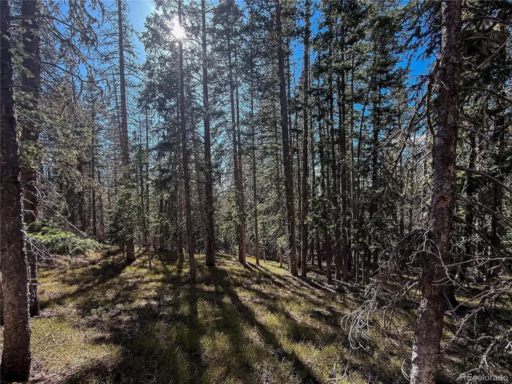 Lot 6530 Schluetter Road Fort Garland CO 81133