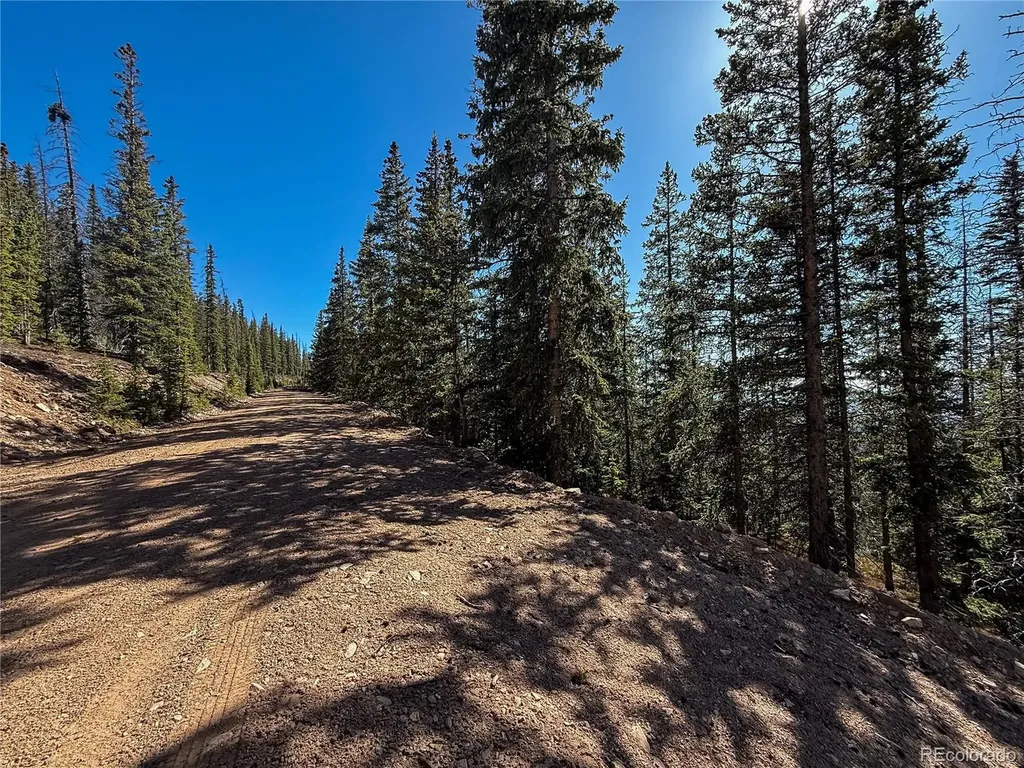Lot 6530 Schluetter Road Fort Garland CO 81133