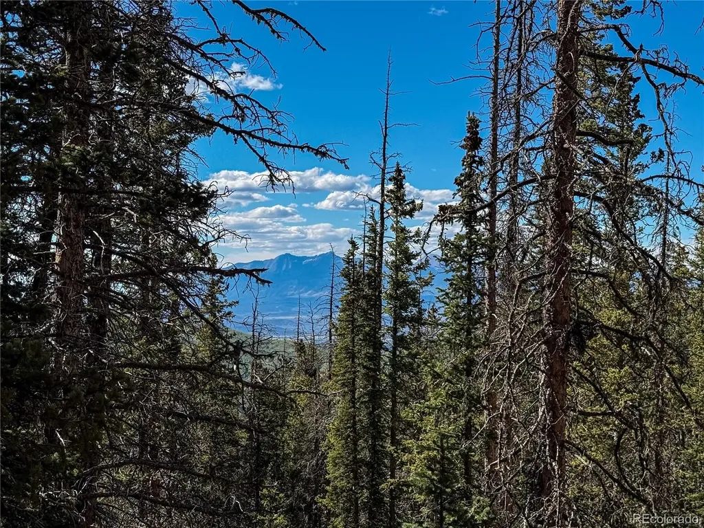Lot 6530 Schluetter Road Fort Garland CO 81133