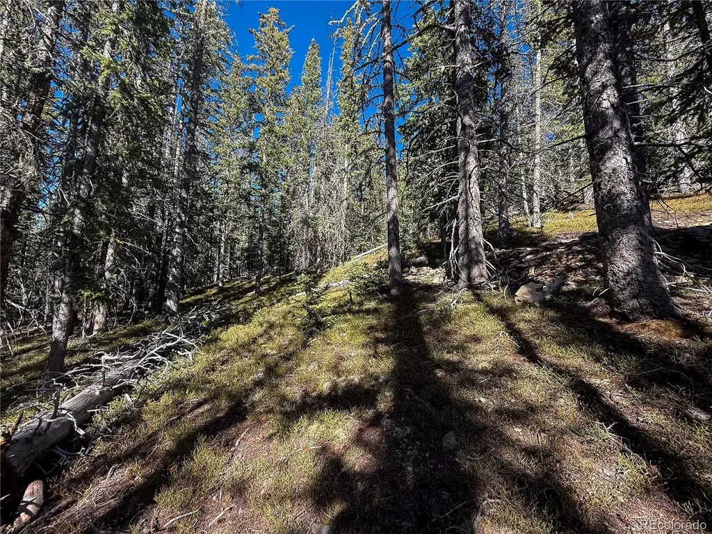 Lot 6530 Schluetter Road Fort Garland CO 81133