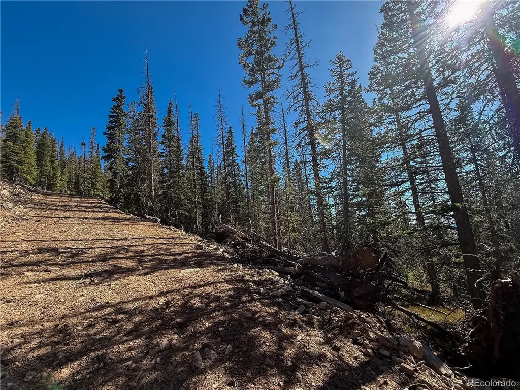 Lot 6530 Schluetter Road Fort Garland CO 81133
