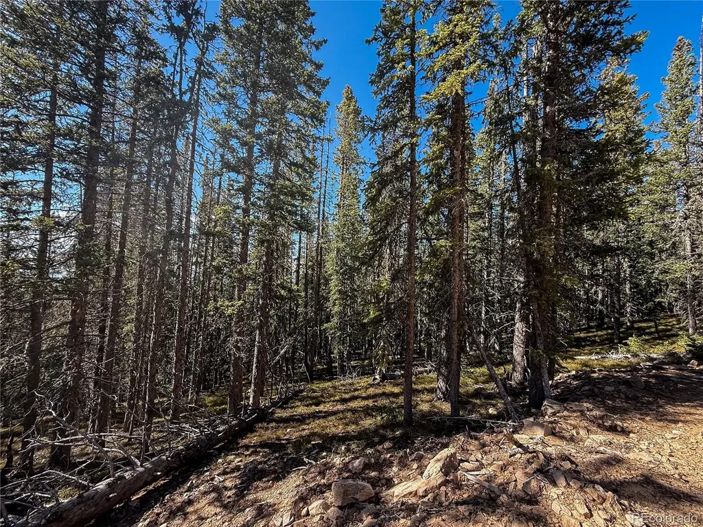 Lot 6530 Schluetter Road Fort Garland CO 81133