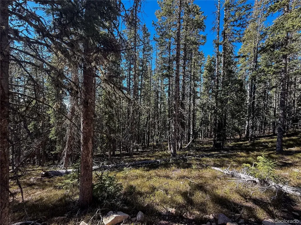 Lot 6530 Schluetter Road Fort Garland CO 81133