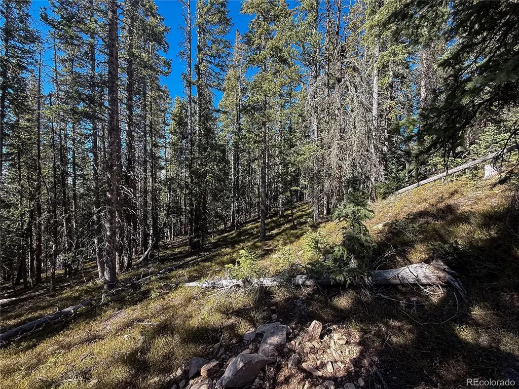 Lot 6530 Schluetter Road Fort Garland CO 81133