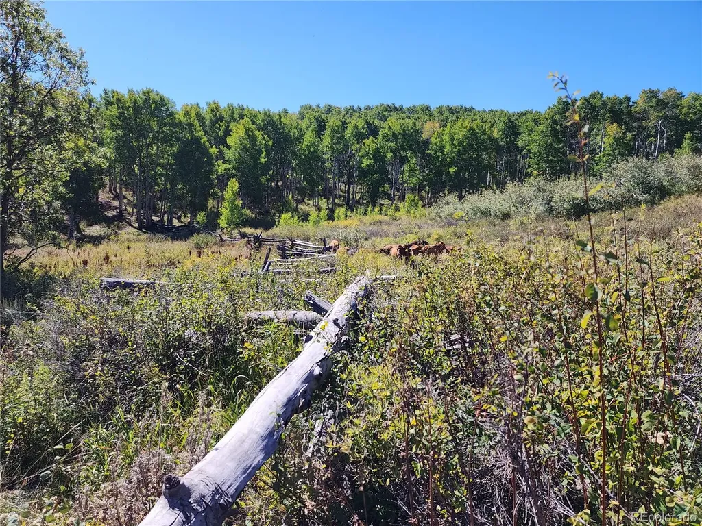 2586 26 1/10 Road Gateway CO 81522