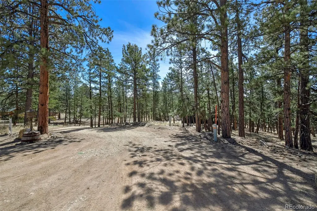 42 Hannah Circle Westcliffe CO 81252