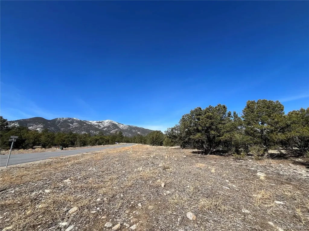 29274 Lakota Lane Buena Vista CO 81211