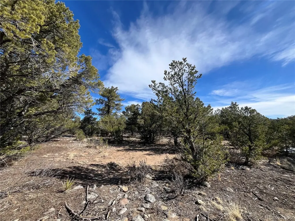 29274 Lakota Lane Buena Vista CO 81211