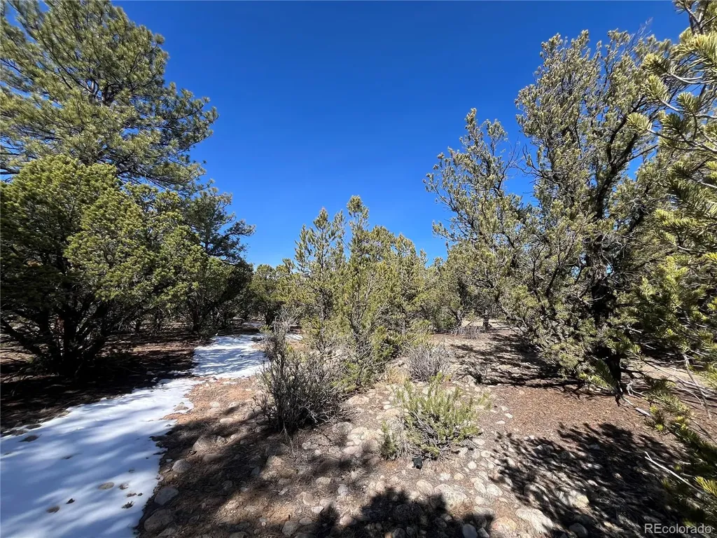 29274 Lakota Lane Buena Vista CO 81211