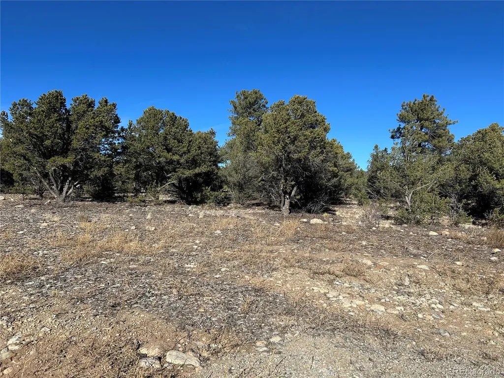 29274 Lakota Lane Buena Vista CO 81211