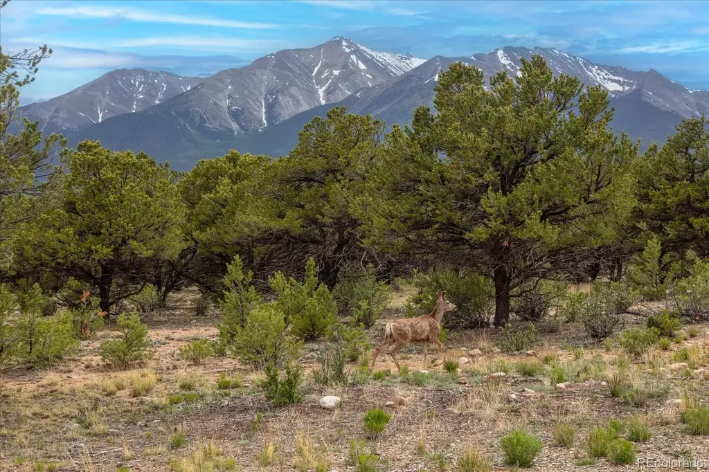 29274 Lakota Lane Buena Vista CO 81211