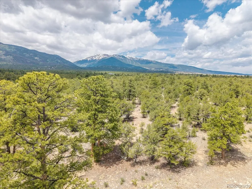 29274 Lakota Lane Buena Vista CO 81211