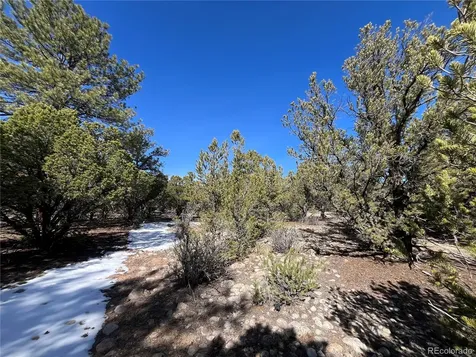 29274 Lakota Lane Buena Vista CO 81211