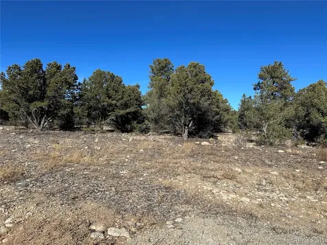 29274 Lakota Lane Buena Vista CO 81211